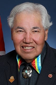 Picture of Hon Murray Sinclair